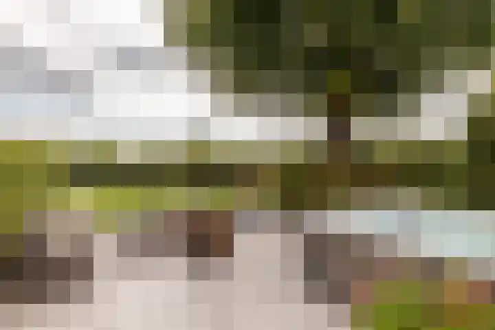 Klokkenberg 58 Breda thumbnail 63
