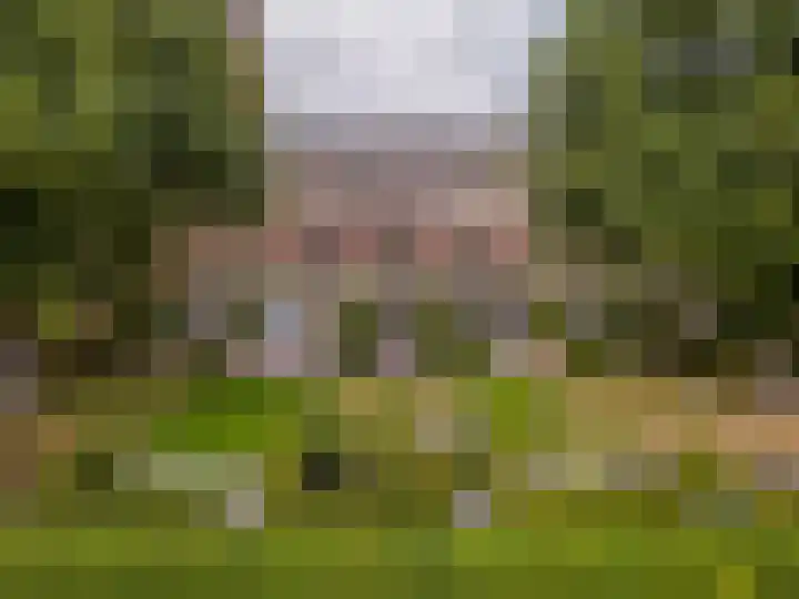 Klokkenberg 58 Breda thumbnail 67