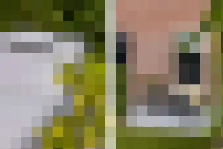 Klokkenberg 58 Breda thumbnail 68