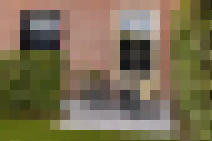 Klokkenberg 58 Breda thumbnail 69