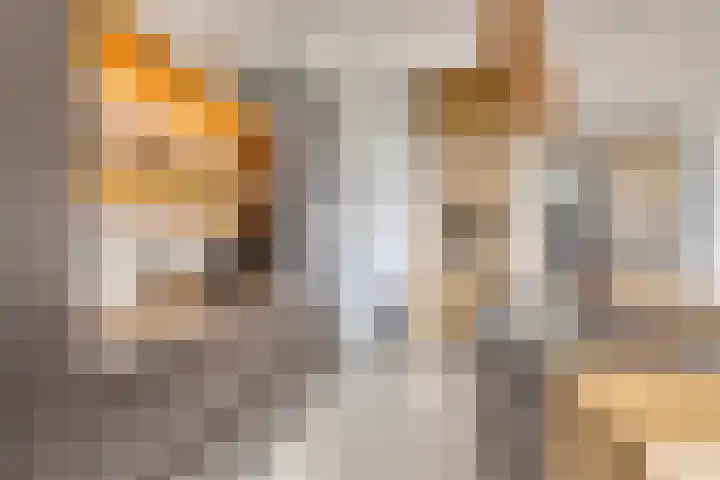 Klokkenberg 87 Breda thumbnail 18