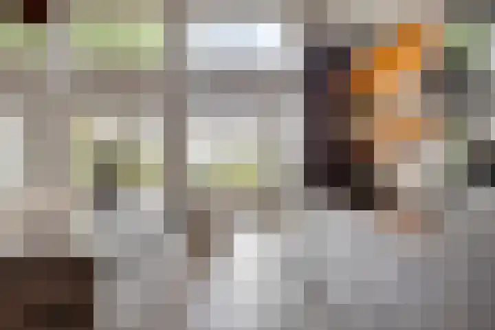 Klokkenberg 87 Breda thumbnail 19