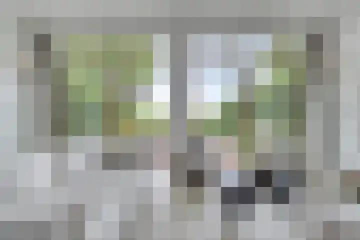 Klokkenberg 87 Breda thumbnail 20