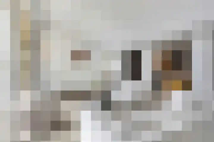 Klokkenberg 87 Breda thumbnail 23
