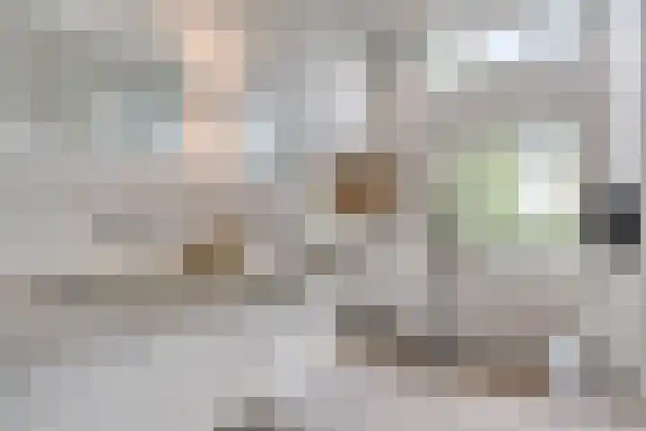 Klokkenberg 87 Breda thumbnail 36