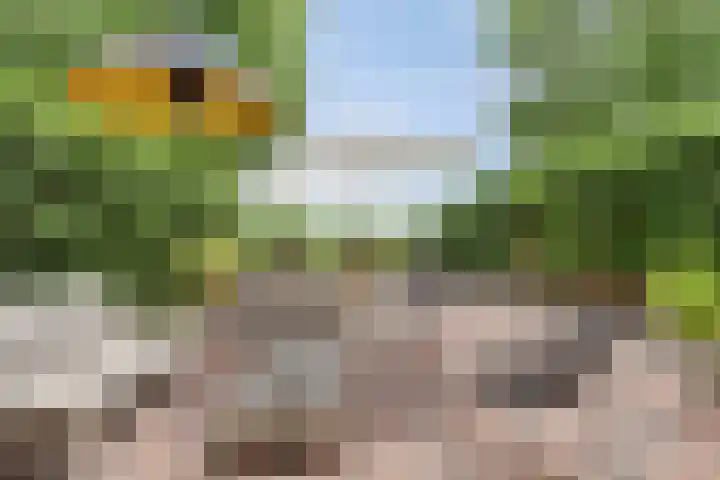 Klokkenberg 87 Breda thumbnail 50
