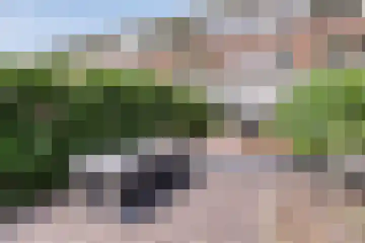 Klokkenberg 87 Breda thumbnail 53