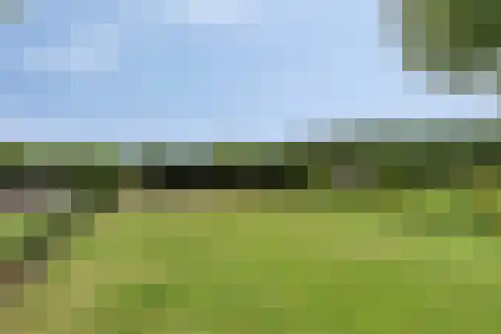 Klokkenberg 87 Breda thumbnail 55