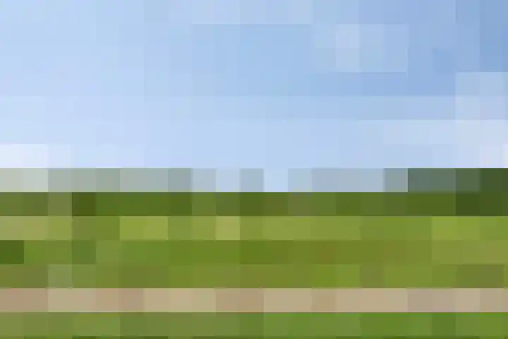 Klokkenberg 87 Breda thumbnail 57