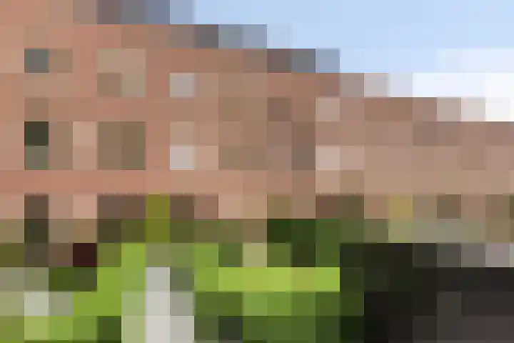 Klokkenberg 87 Breda thumbnail 6