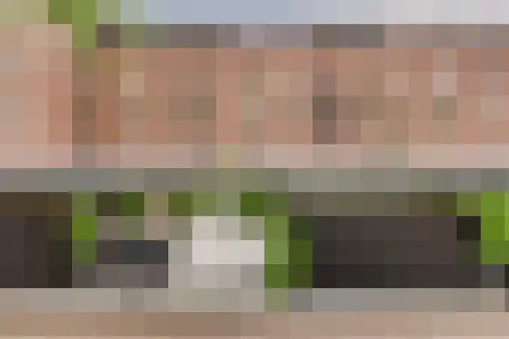 Klokkenberg 87 Breda thumbnail 8