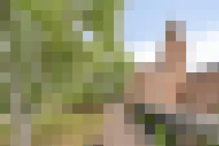 Klokkenberg 87 Breda thumbnail 9