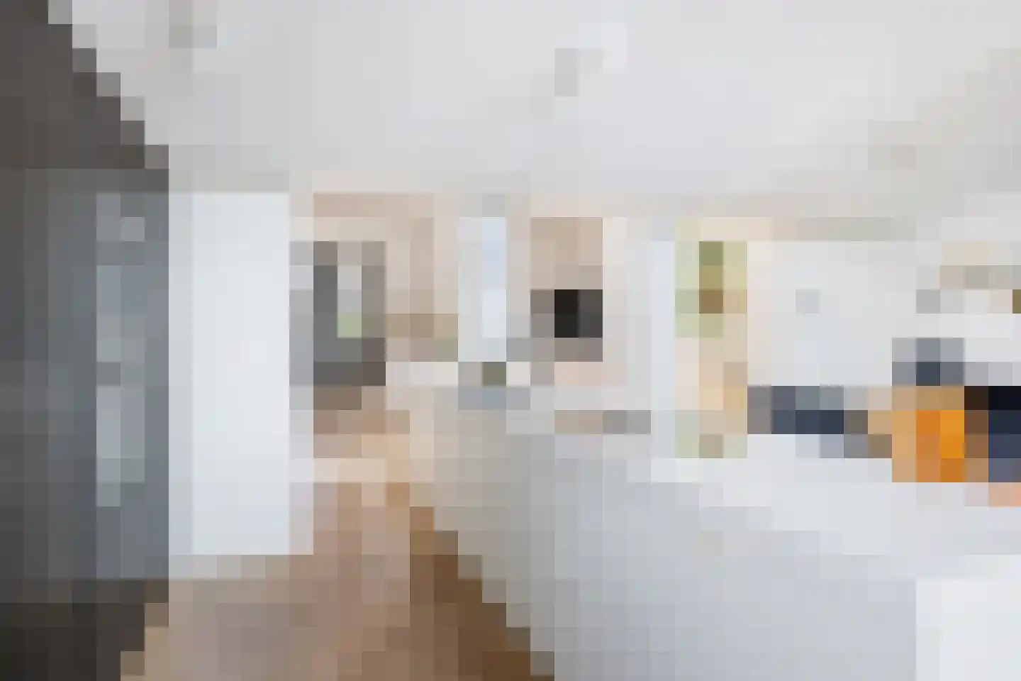 Klokkenberg 90 Breda thumbnail 29