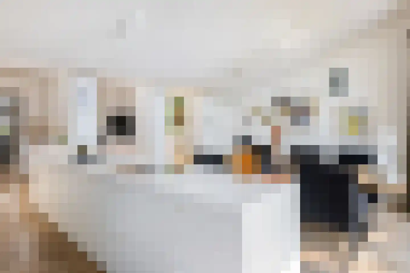 Klokkenberg 90 Breda thumbnail 33