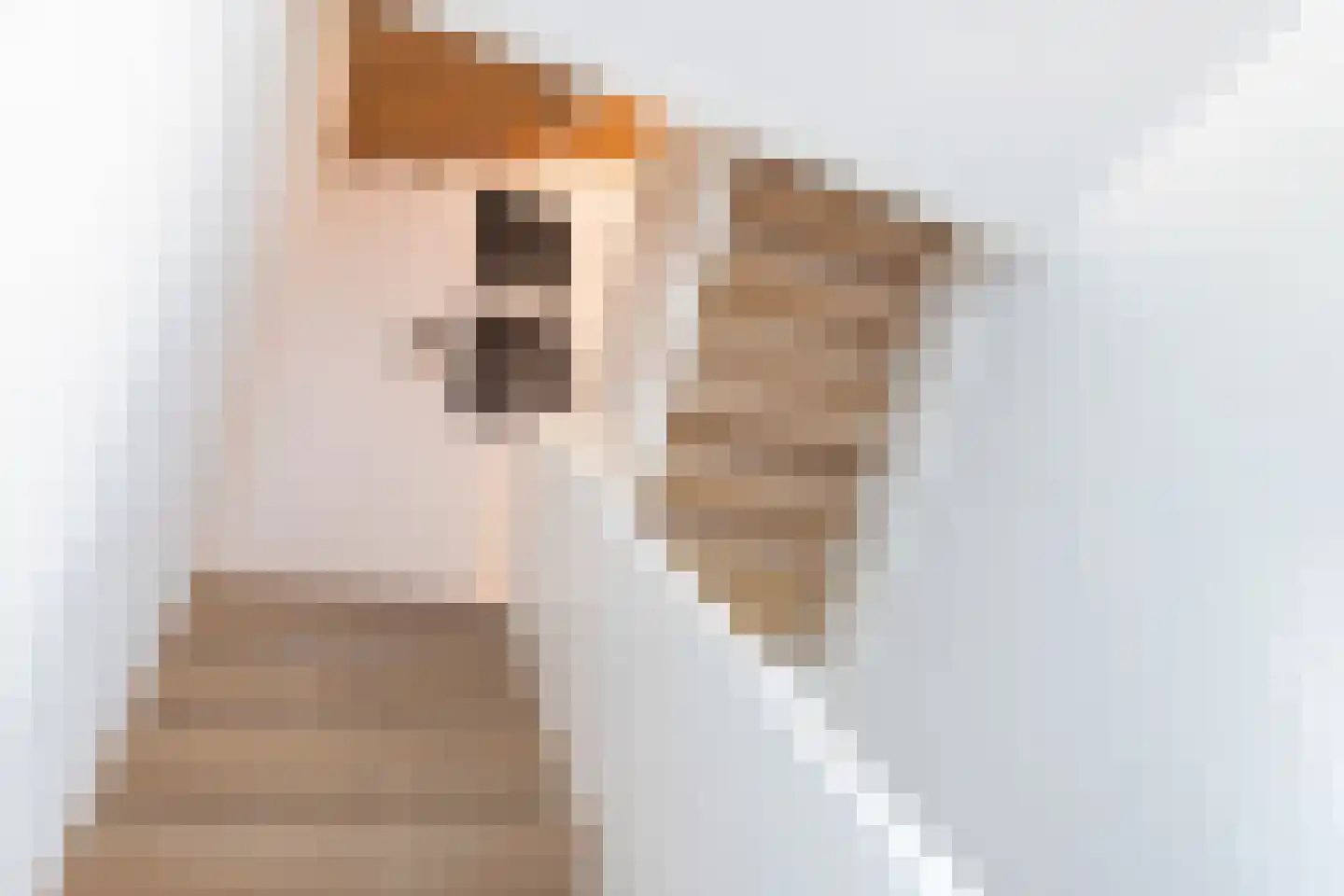 Klokkenberg 90 Breda thumbnail 43