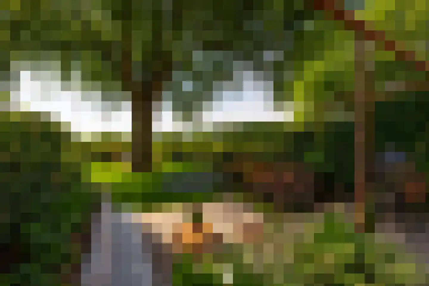 Klokkenberg 90 Breda thumbnail 82