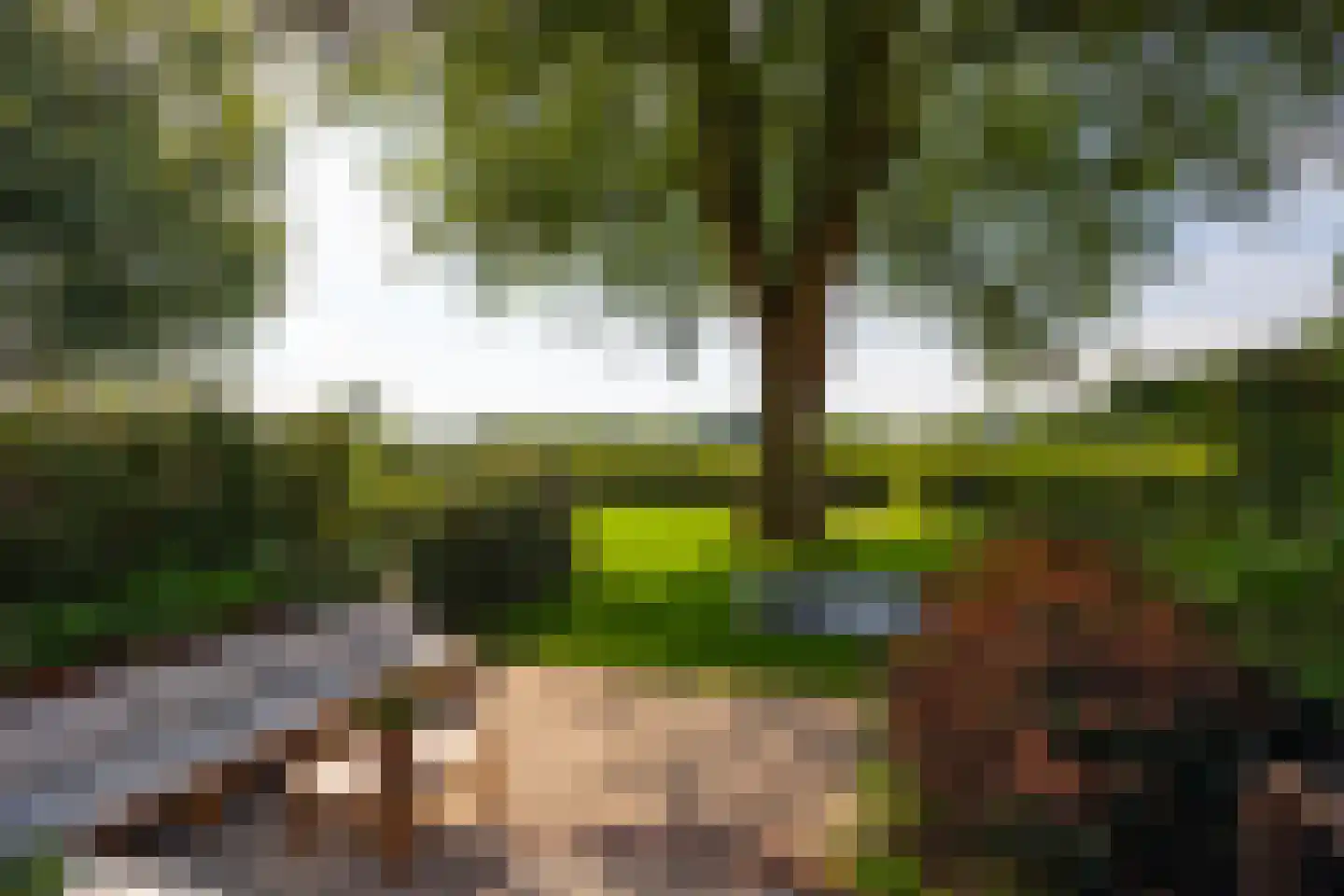 Klokkenberg 90 Breda thumbnail 83