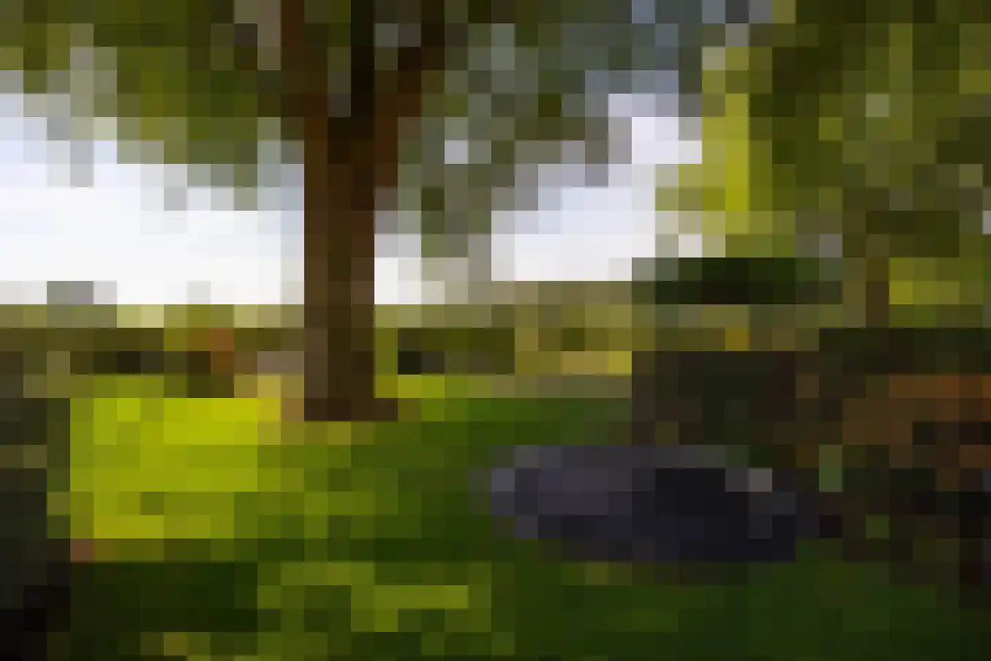 Klokkenberg 90 Breda thumbnail 84