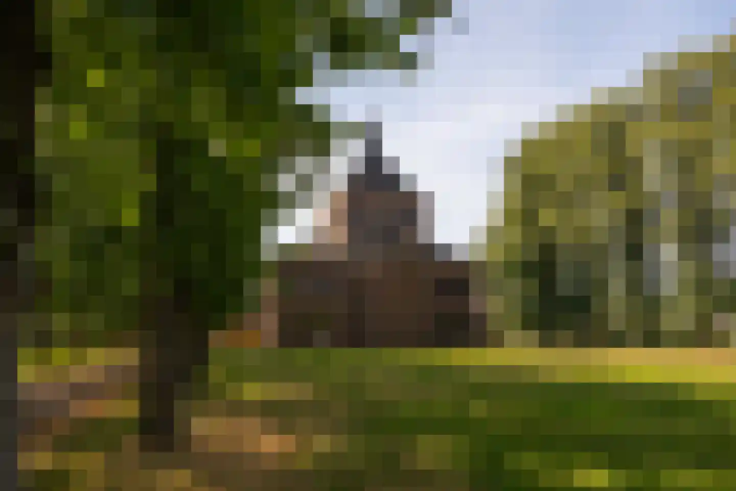 Klokkenberg 90 Breda thumbnail 92
