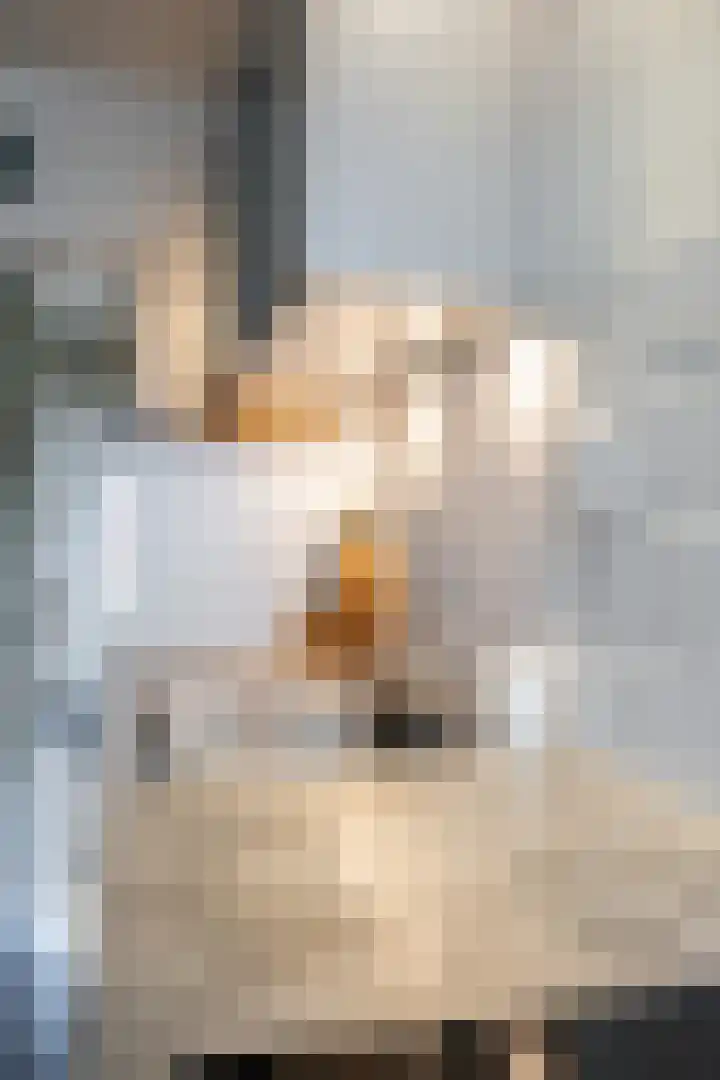 Klokkenborg 13 Wagenborgen thumbnail 17