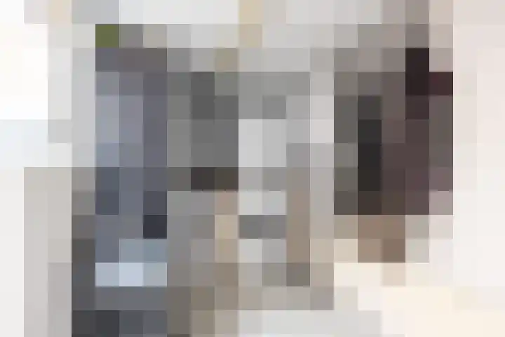 Klokkenborg 13 Wagenborgen thumbnail 18