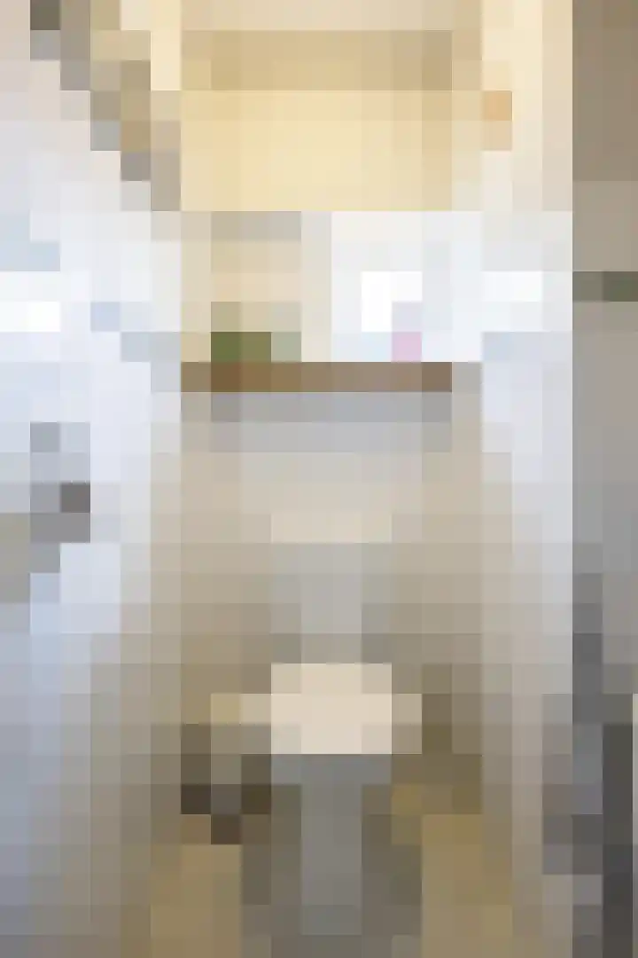 Klokkenborg 13 Wagenborgen thumbnail 21