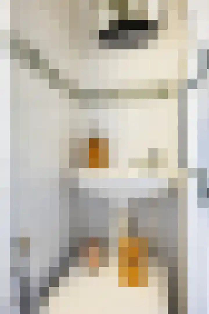 Klokkenborg 13 Wagenborgen thumbnail 22