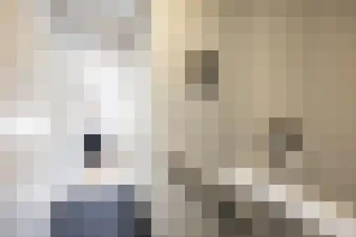 Klokkenborg 13 Wagenborgen thumbnail 24