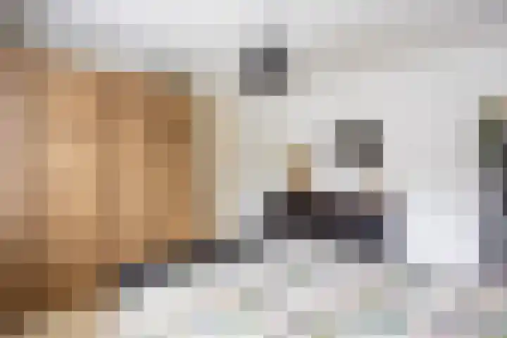 Klokkenborg 13 Wagenborgen thumbnail 29