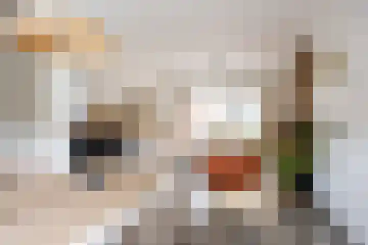 Klokkenborg 13 Wagenborgen thumbnail 4