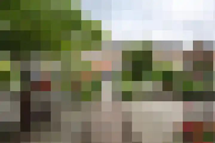 Klokkenborg 13 Wagenborgen thumbnail 49