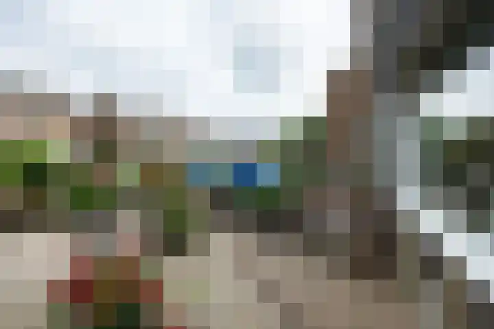 Klokkenborg 13 Wagenborgen thumbnail 51