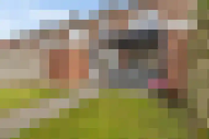 Klokkenborg 40 Wagenborgen thumbnail 13