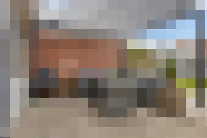 Klokkenborg 40 Wagenborgen thumbnail 15