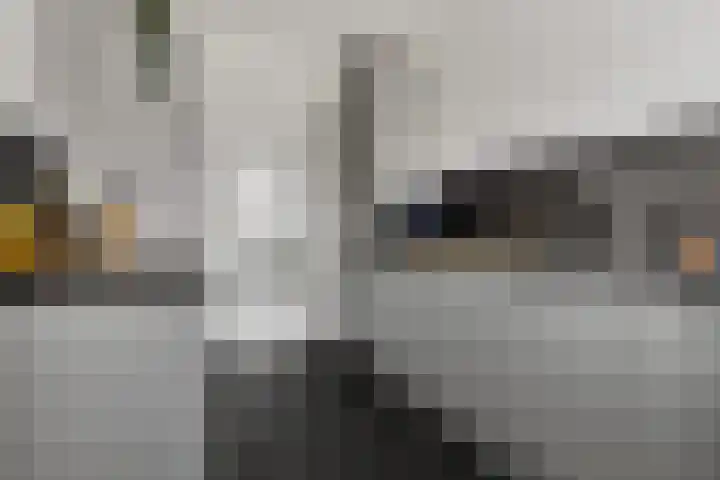 Klokkenborg 40 Wagenborgen thumbnail 31