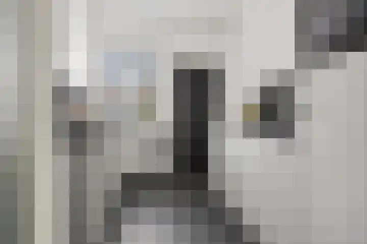 Klokkenborg 40 Wagenborgen thumbnail 33