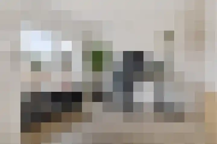 Klokkenborg 40 Wagenborgen thumbnail 42