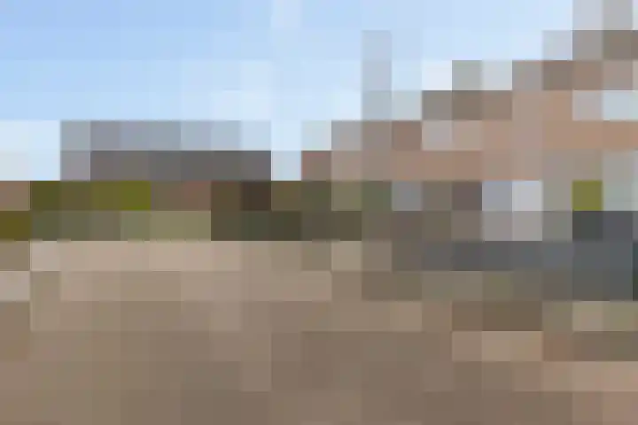Klokkenborg 40 Wagenborgen thumbnail 9