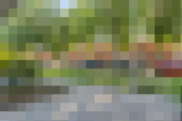 Klokkengieterlaan 110 Zwolle thumbnail 10