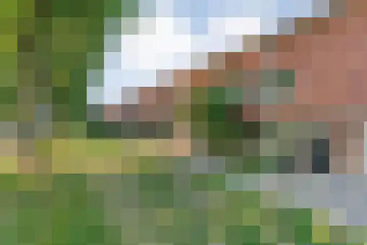 Klokkengieterlaan 110 Zwolle thumbnail 11