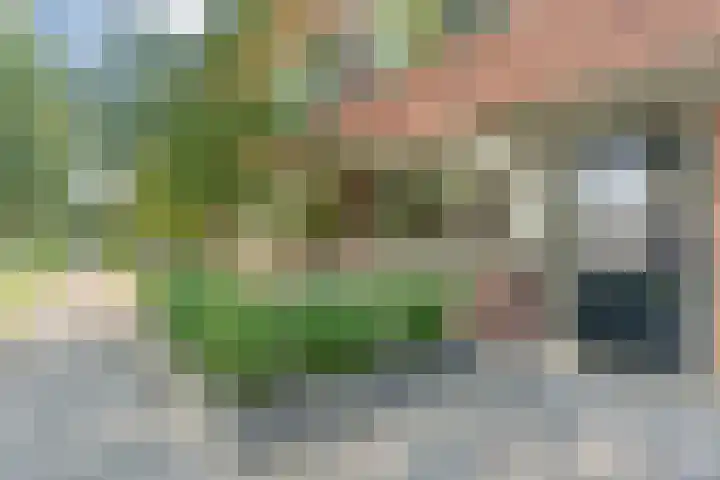 Klokkengieterlaan 110 Zwolle thumbnail 12