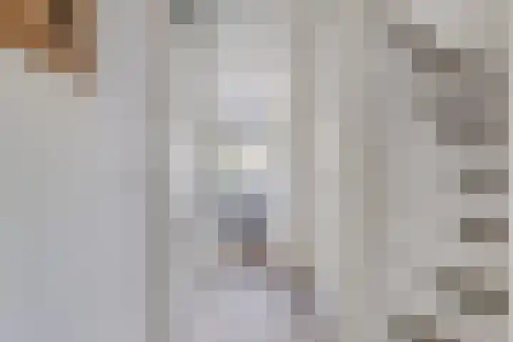 Klokkengieterlaan 110 Zwolle thumbnail 14