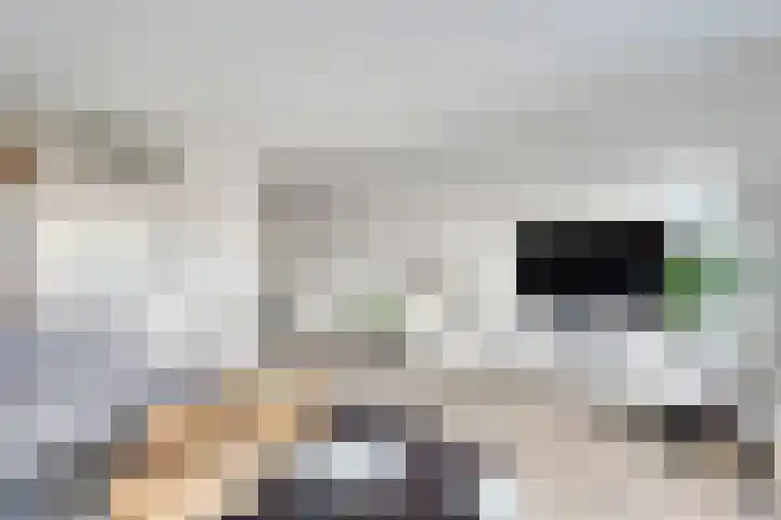 Klokkengieterlaan 110 Zwolle thumbnail 18