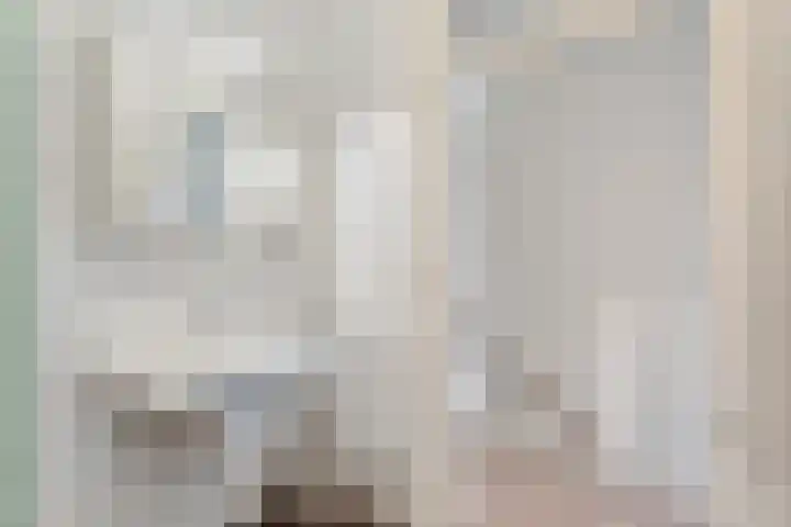 Klokkengieterlaan 110 Zwolle thumbnail 27