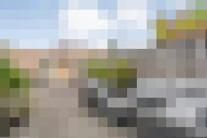 Klokkengieterlaan 110 Zwolle thumbnail 30
