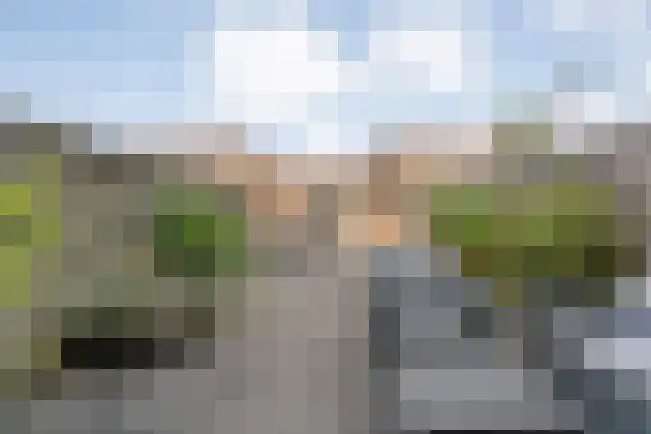 Klokkengieterlaan 110 Zwolle thumbnail 31