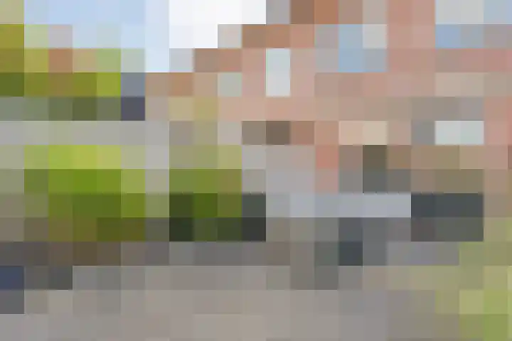 Klokkengieterlaan 110 Zwolle thumbnail 33
