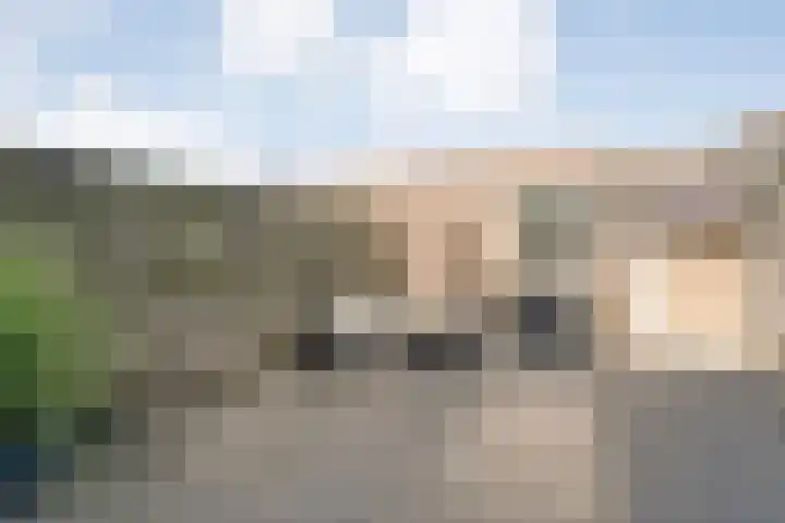 Klokkengieterlaan 110 Zwolle thumbnail 34