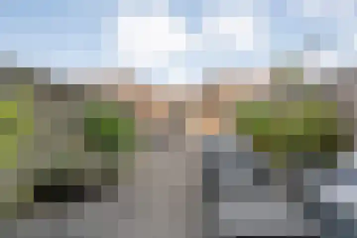Klokkengieterlaan 110 Zwolle thumbnail 6