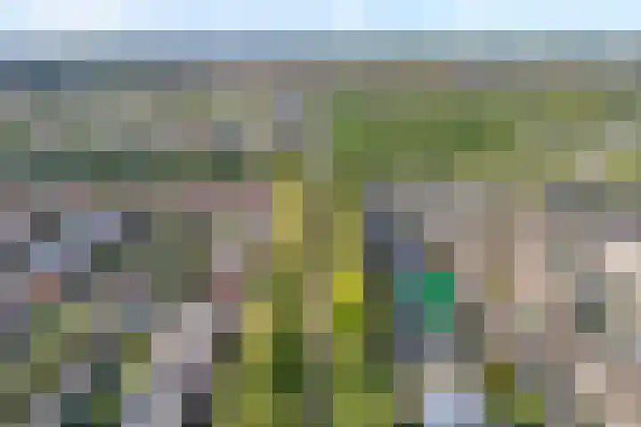 Klokkengieterlaan 110 Zwolle thumbnail 7